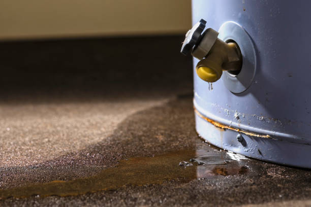 Best Water damage contractors near me  in La Plata, MO