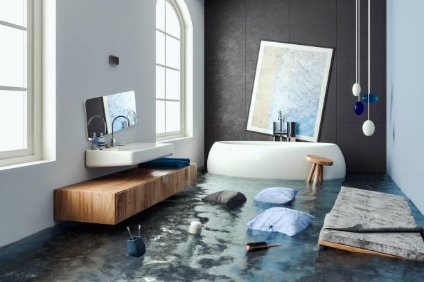 Water damage restoration mold remediation in La Plata, MO