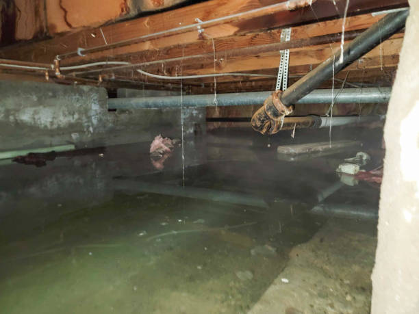 Best Sewage cleanup and water damage restoration  in La Plata, MO