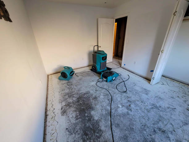 Best Water damage restoration specialists  in La Plata, MO