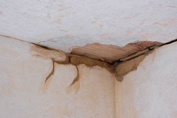 Professional Water damage restoration in La Plata, MO