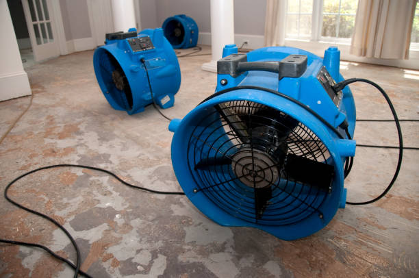 Best Basement water damage restoration  in La Plata, MO