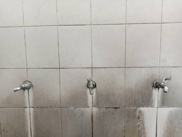 Best Ceiling water damage repair  in La Plata, MO