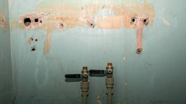 Best Ceiling water damage repair  in La Plata, MO