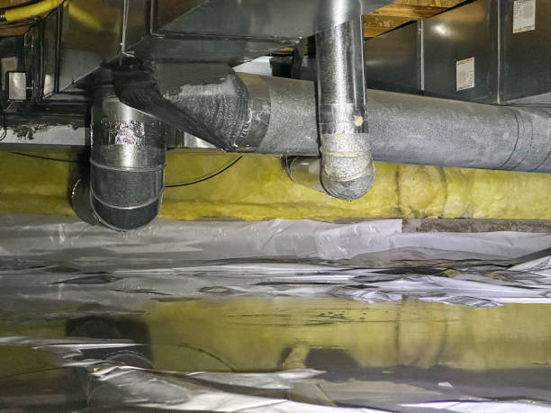 Best Residential water damage restoration  in La Plata, MO