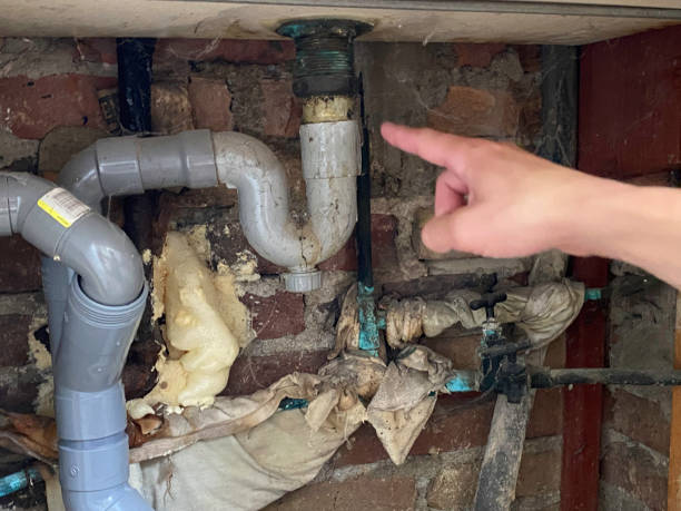 Best Flooded house restoration  in La Plata, MO