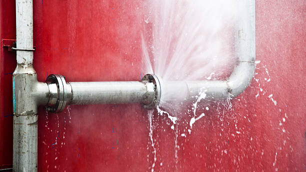 Best Residential water damage restoration  in La Plata, MO