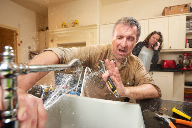 Best Water damage cleanup near me  in La Plata, MO